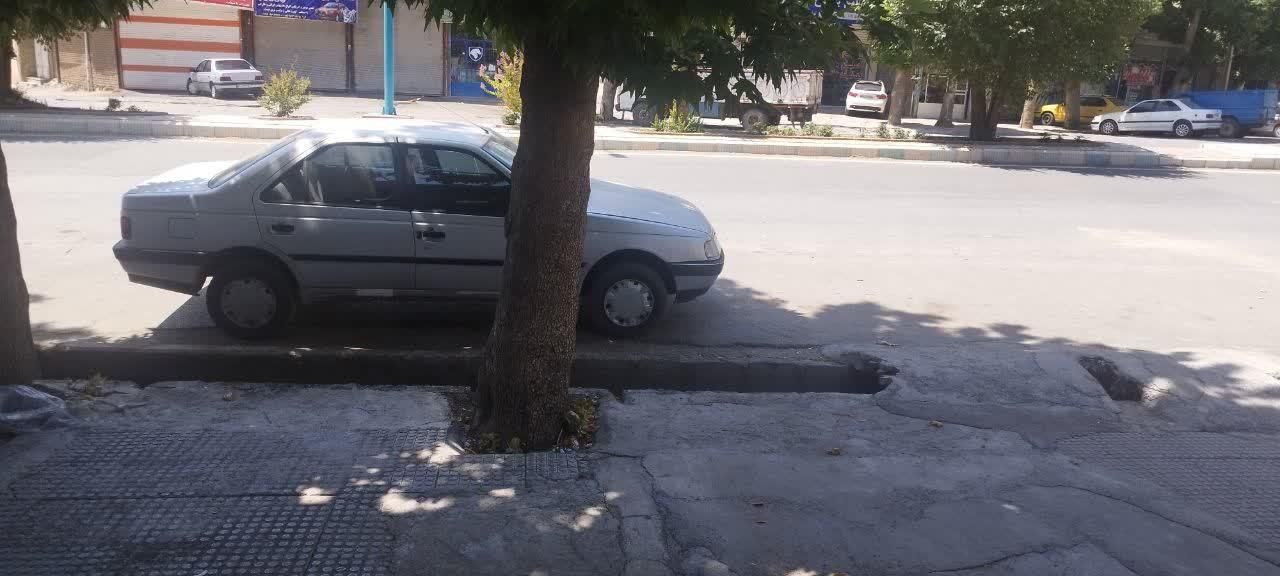 پژو 405 GLX - دوگانه سوز - 1389