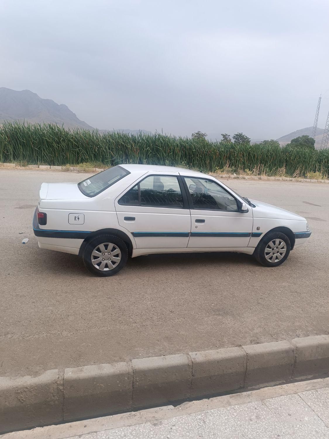 پژو 405 SLX بنزینی TU5 - 1391