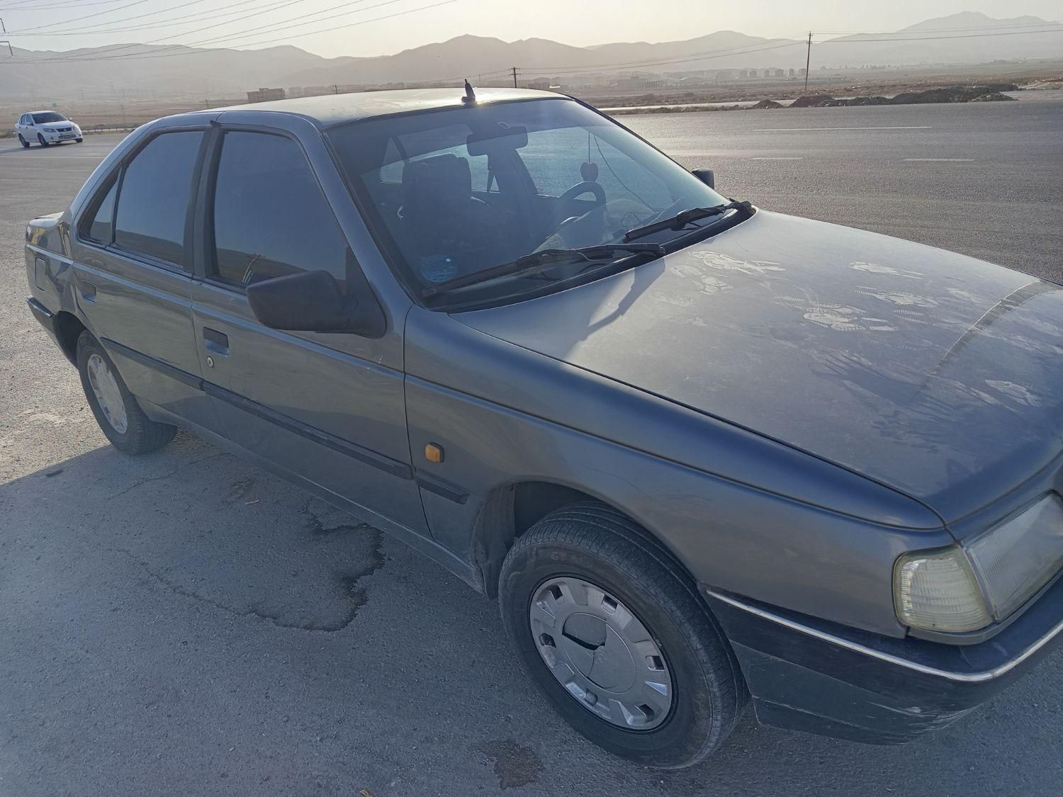 پژو 405 GLX - دوگانه سوز - 1389