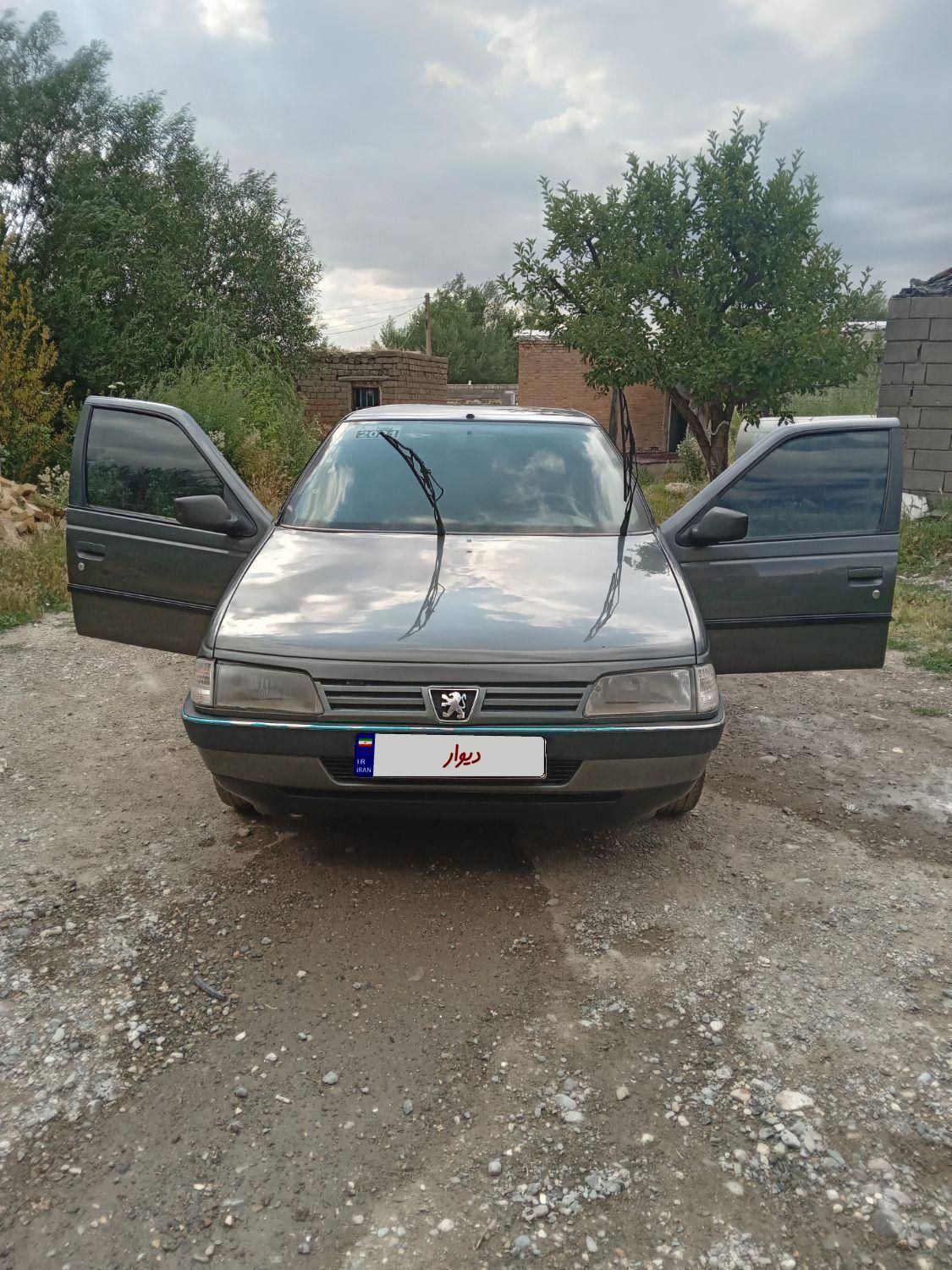 پژو 405 GL - دوگانه سوز CNG - 1369