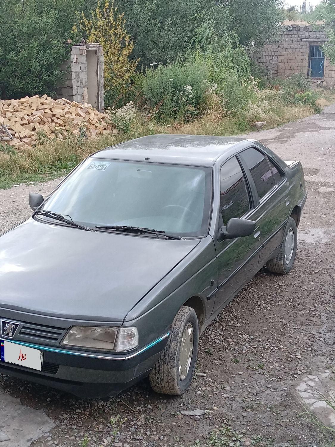 پژو 405 GL - دوگانه سوز CNG - 1369