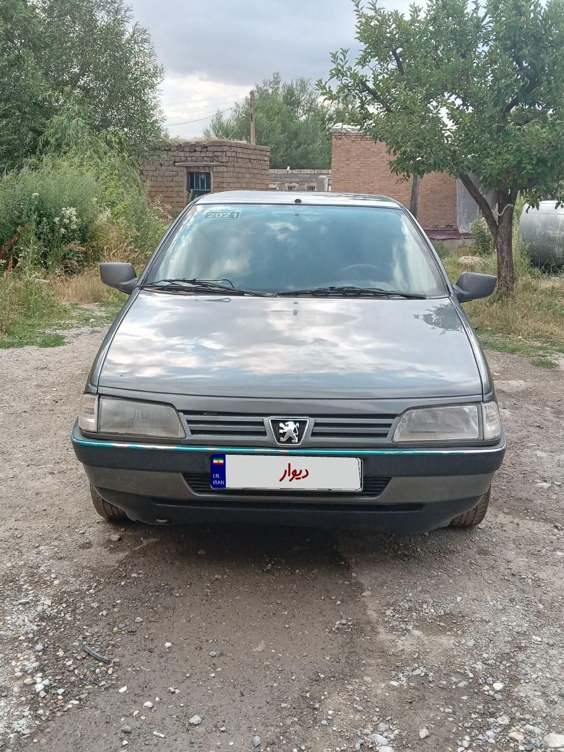پژو 405 GL - دوگانه سوز CNG - 1369
