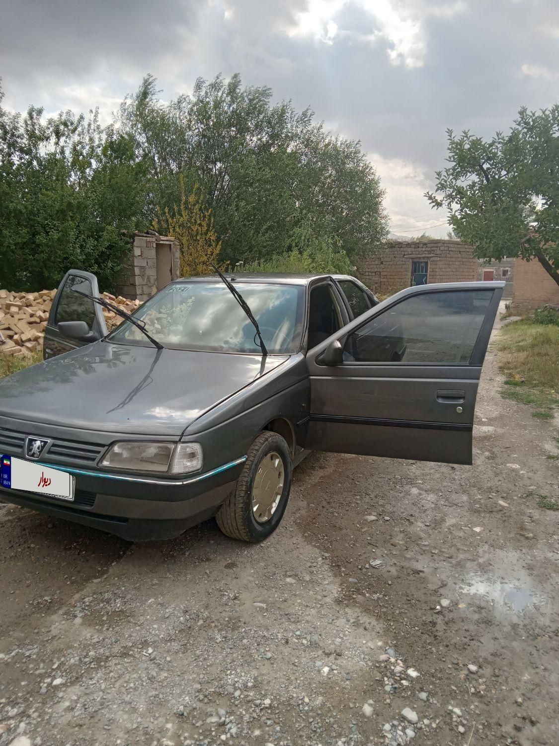 پژو 405 GL - دوگانه سوز CNG - 1369