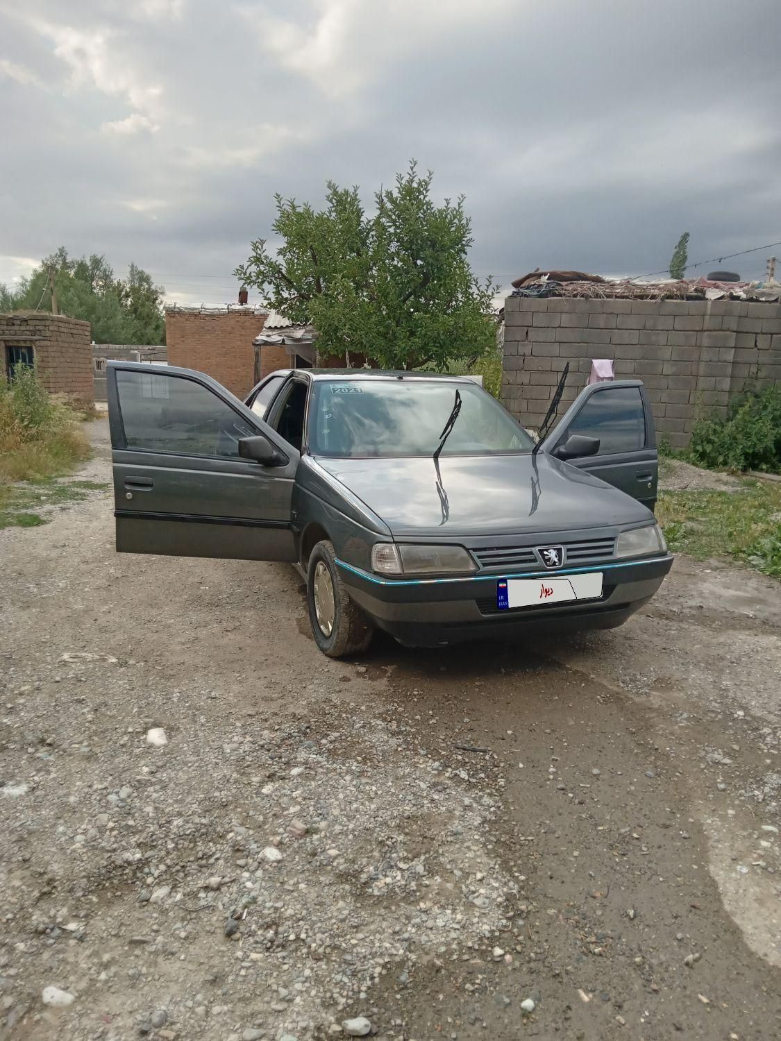پژو 405 GL - دوگانه سوز CNG - 1369