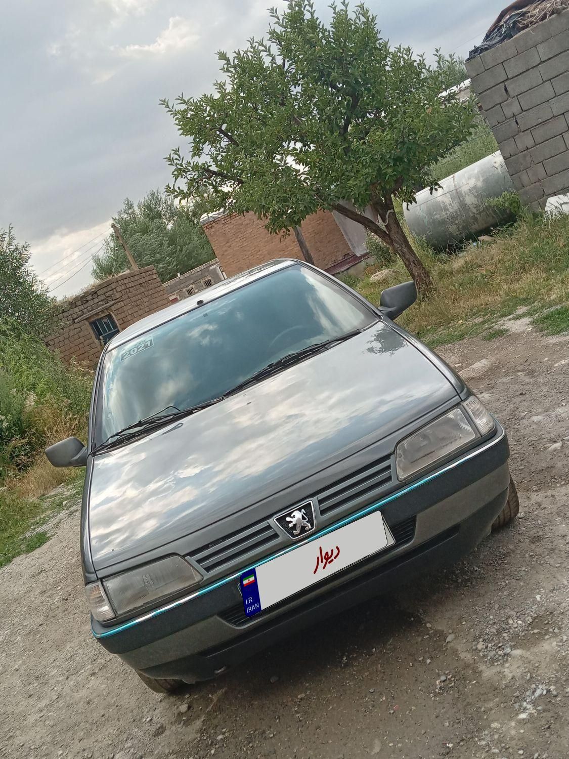 پژو 405 GL - دوگانه سوز CNG - 1369