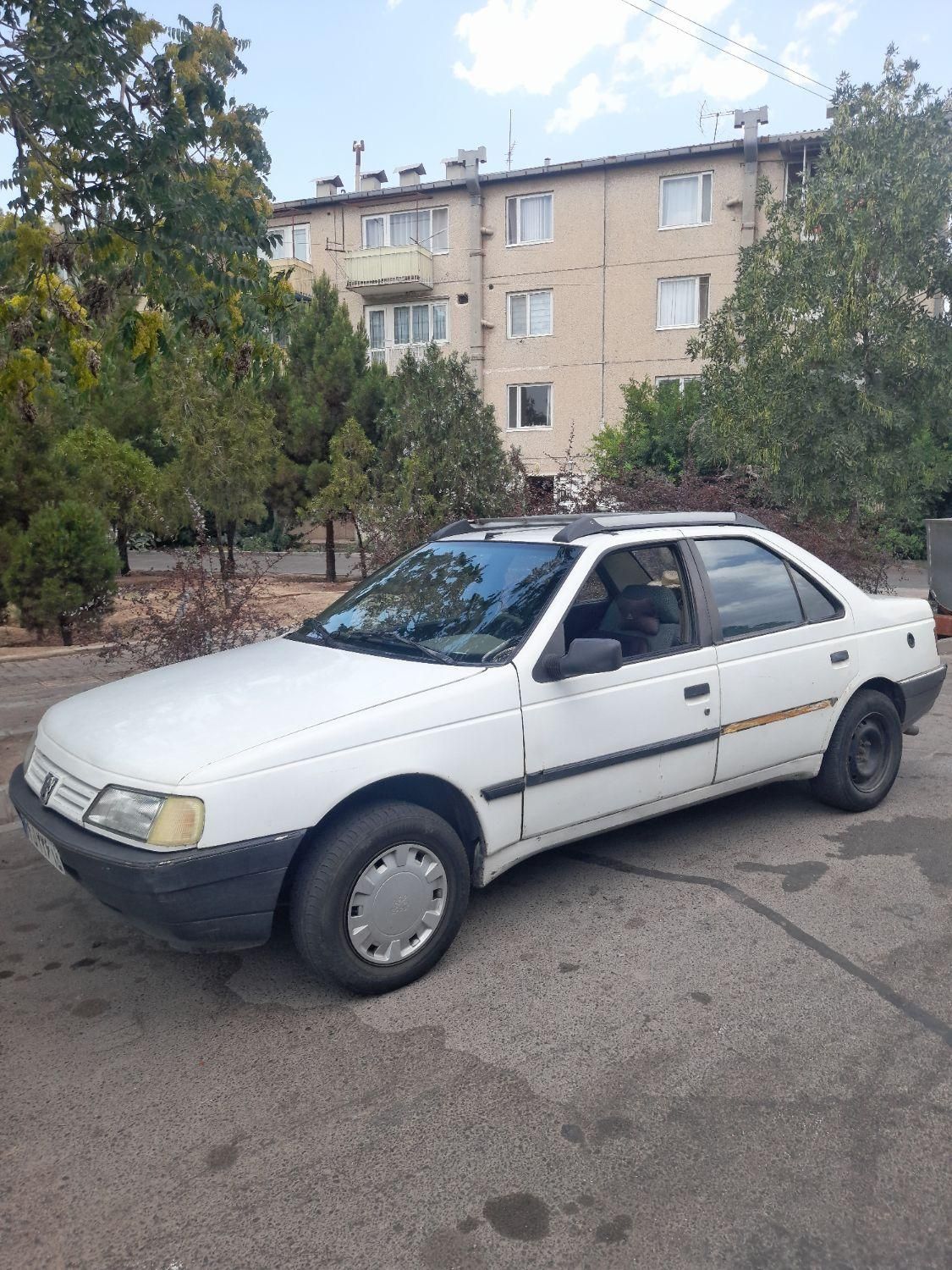 پژو آردی دوگانه سوز CNG - 1382