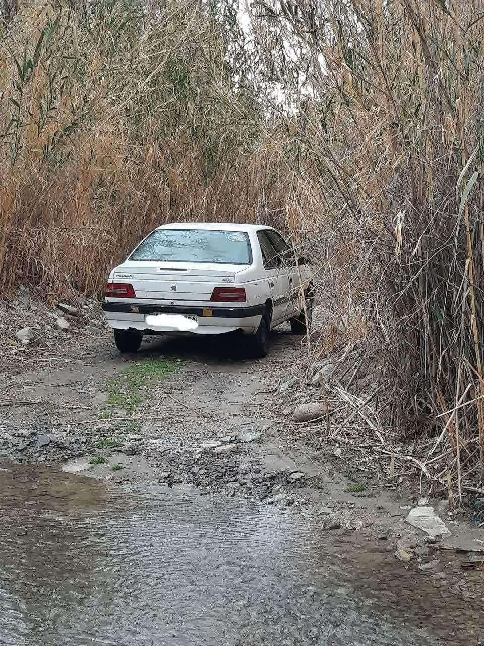 پژو 405 SLX دوگانه سوز XU7 - 1389