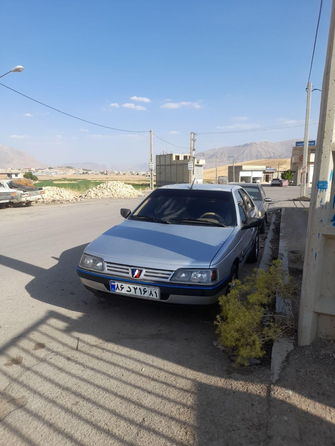 پژو 405 GLX - دوگانه سوز - 1391