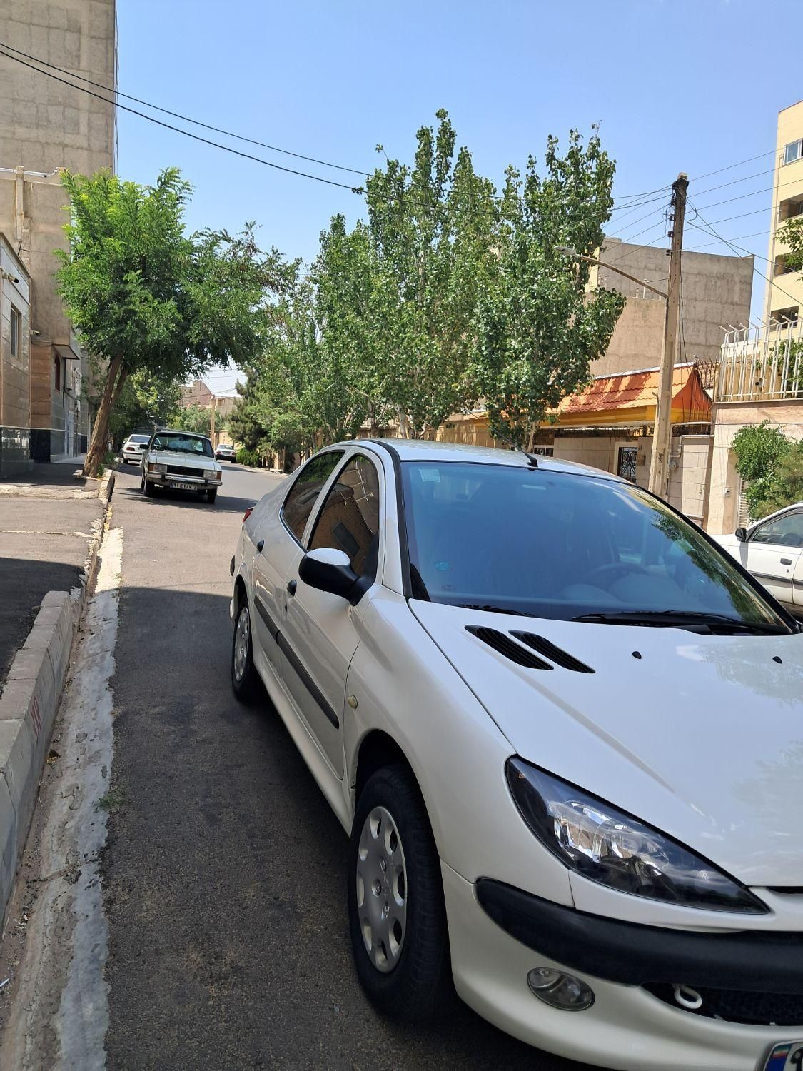 پژو 206 تیپ 5 - 1393