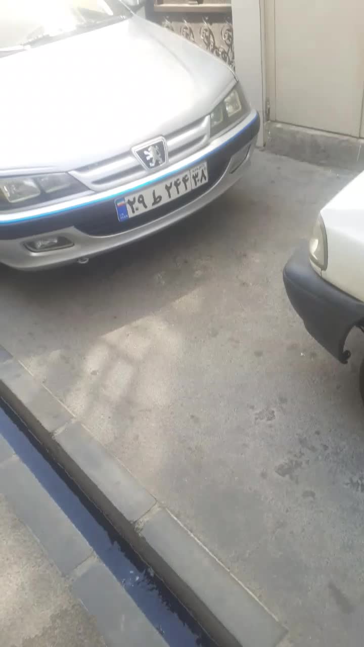 پژو پارس ELX-XU7P سفارشی - 1384