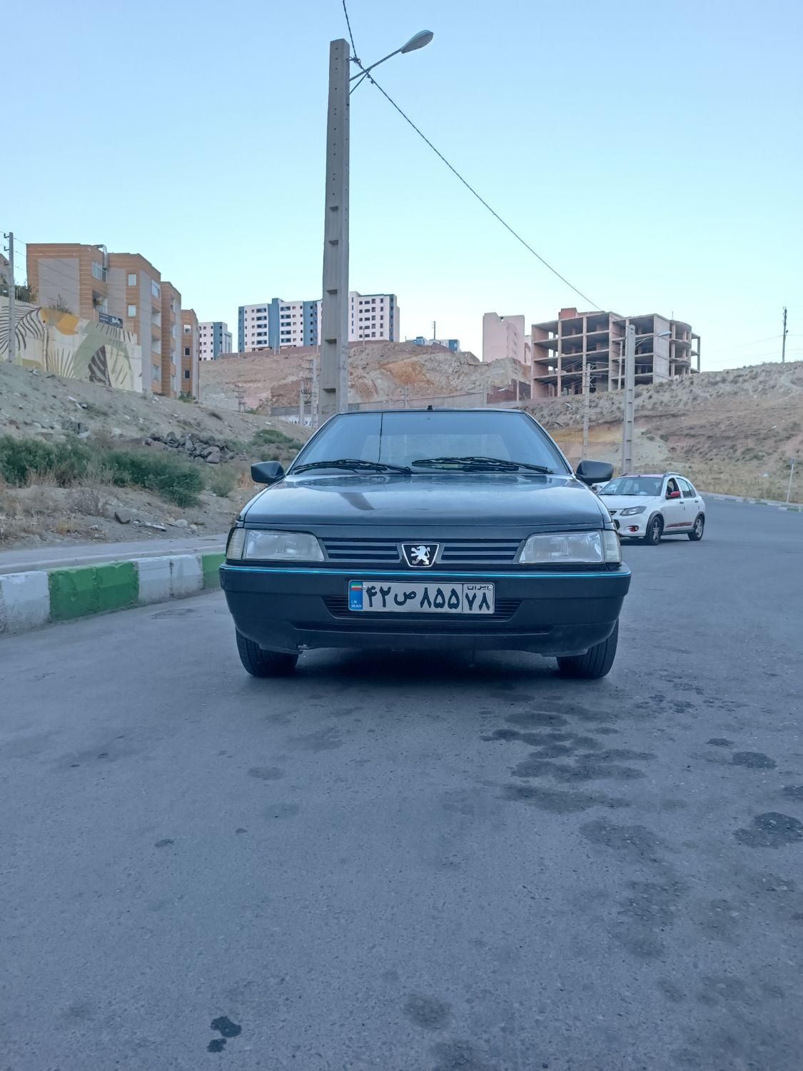 پژو 405 GLX - 1387