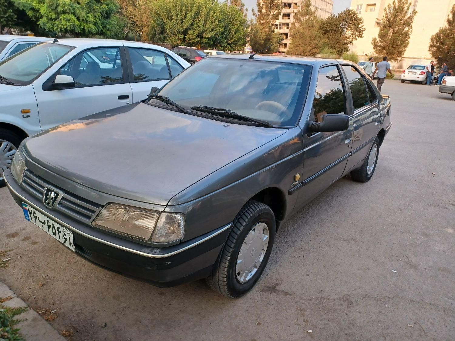 پژو 405 GLX - 1391