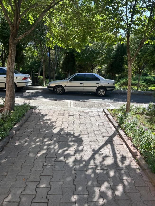 خودرو پژو، 405 آگهی ann_19465716