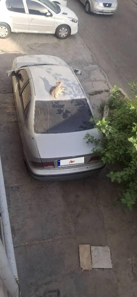 سمند X7 بنزینی - 1383