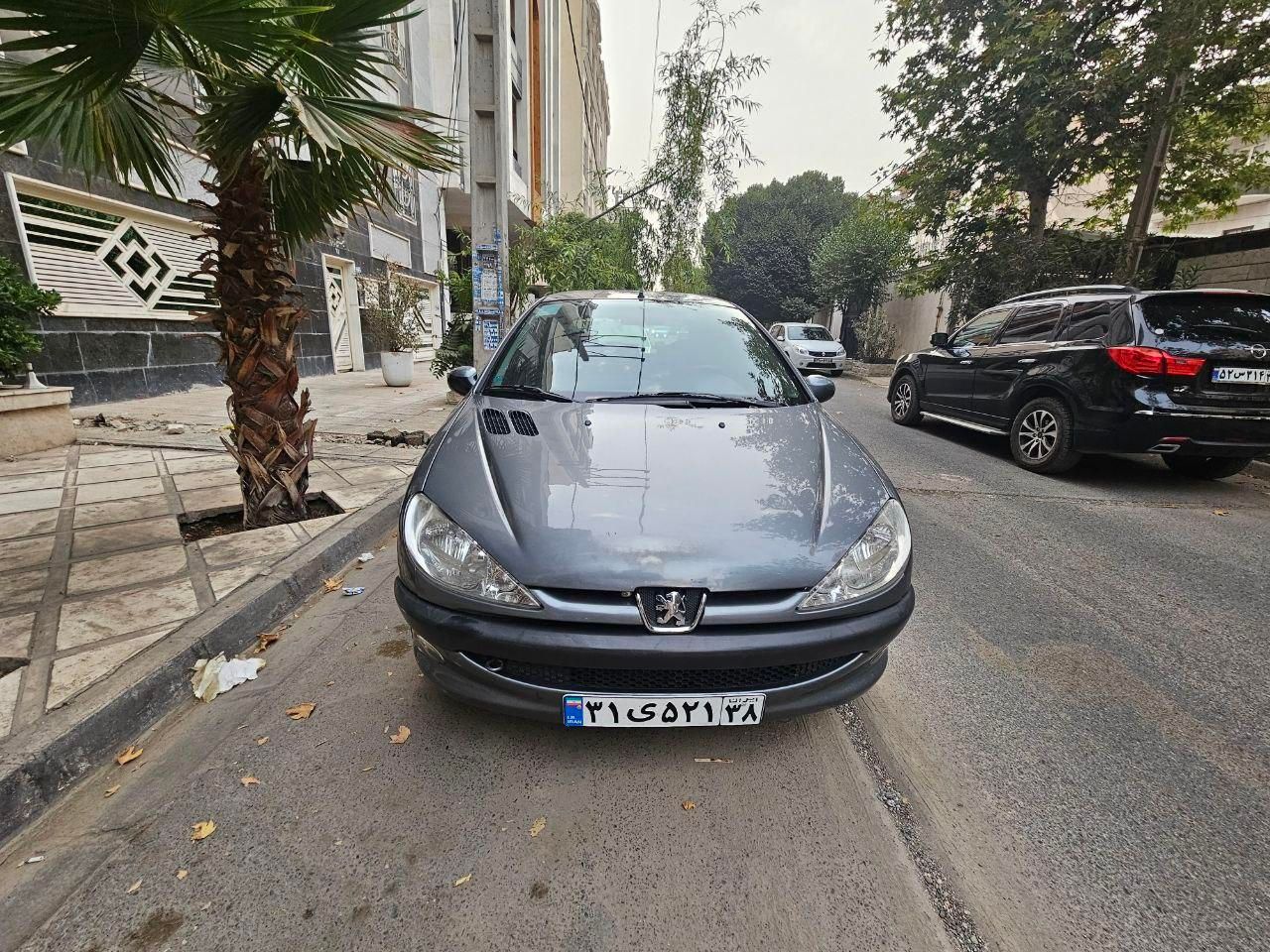 خودرو پژو، 206 آگهی ann_19466518