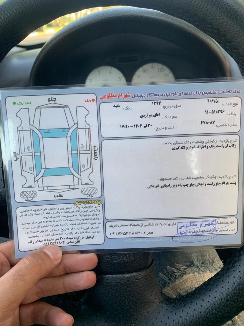 پژو 206 تیپ 5 - 1393