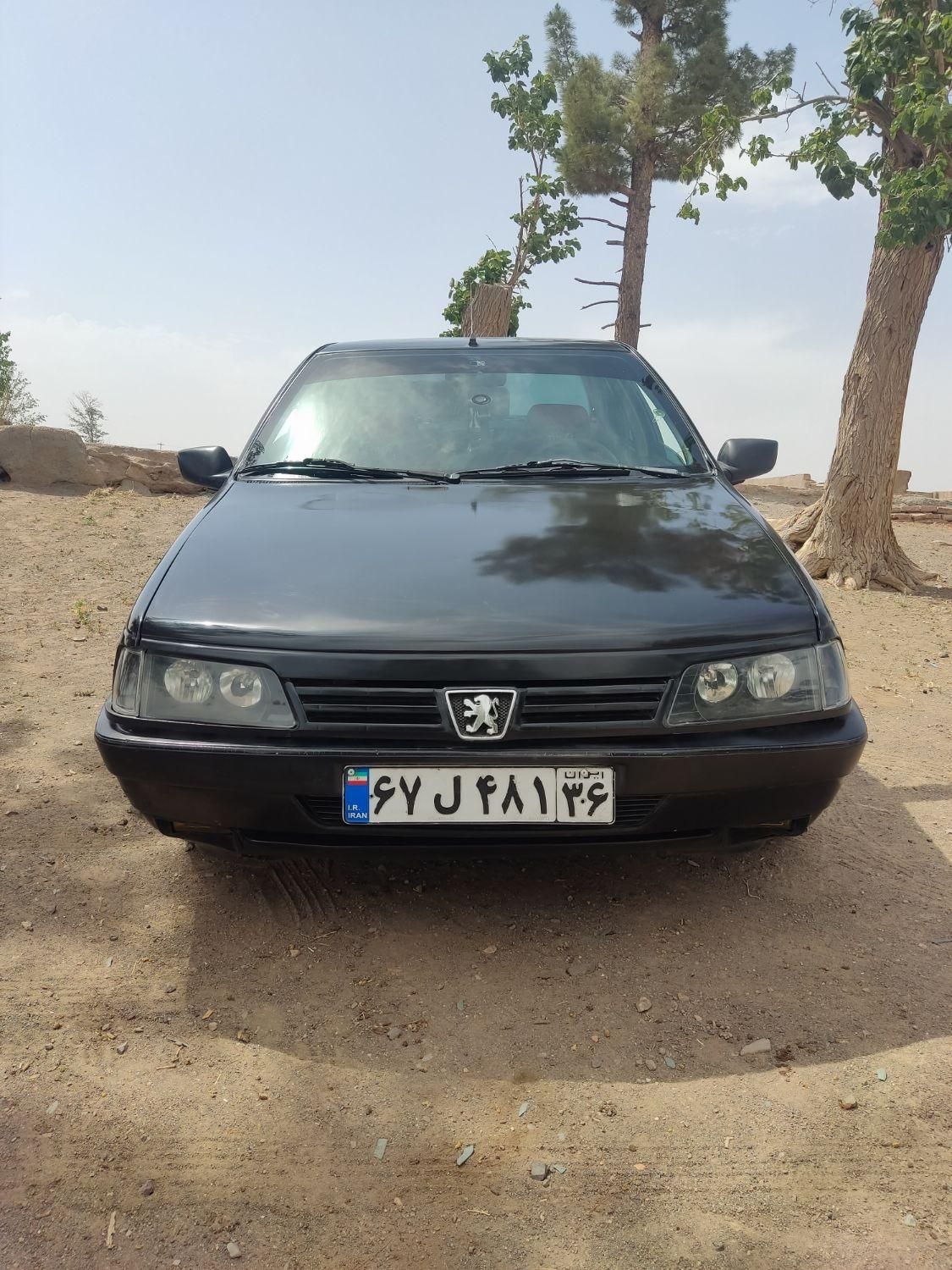 پژو 405 GLX - دوگانه سوز - 1384