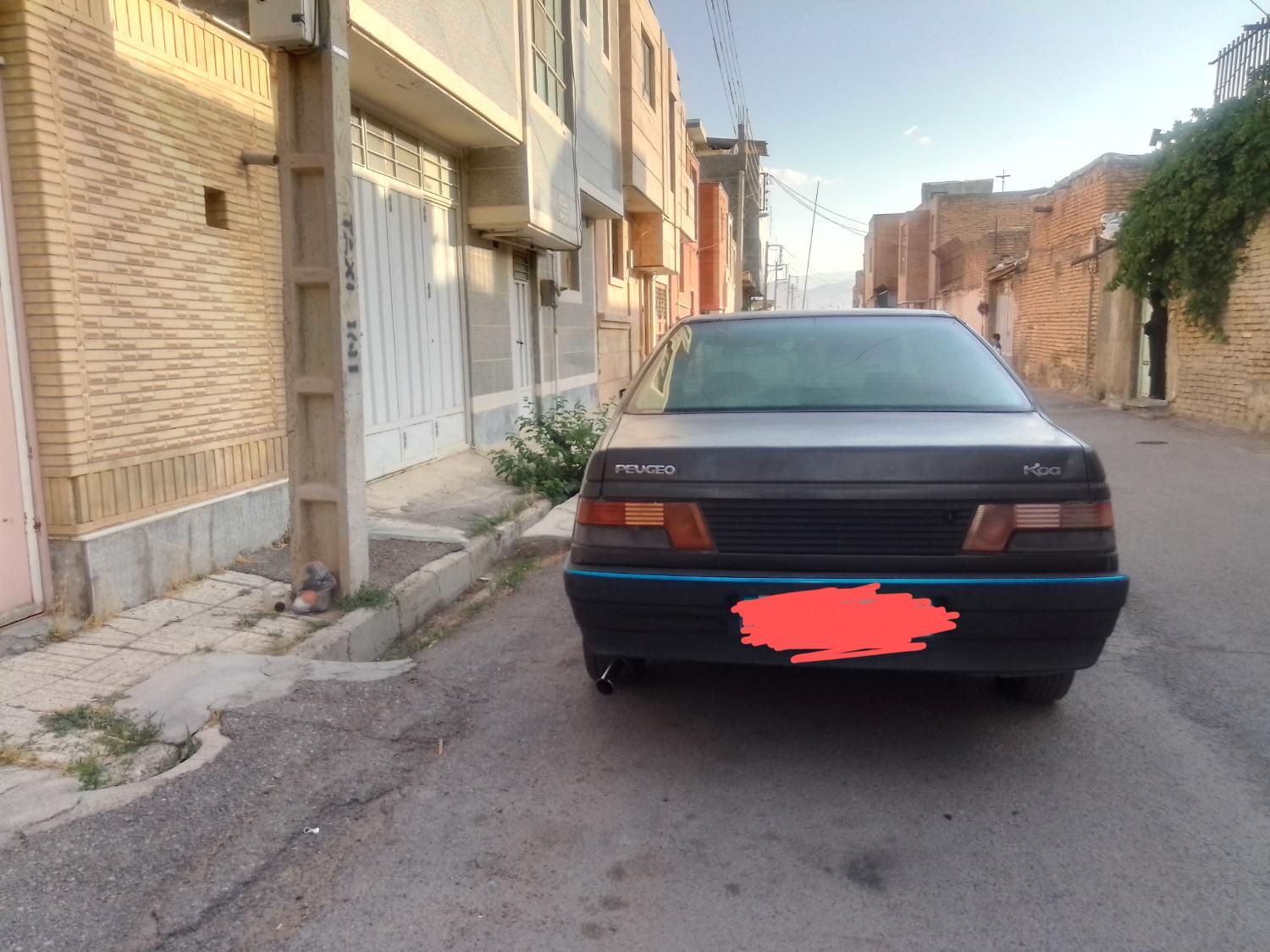 پژو روآ دوگانه سوز - 1387