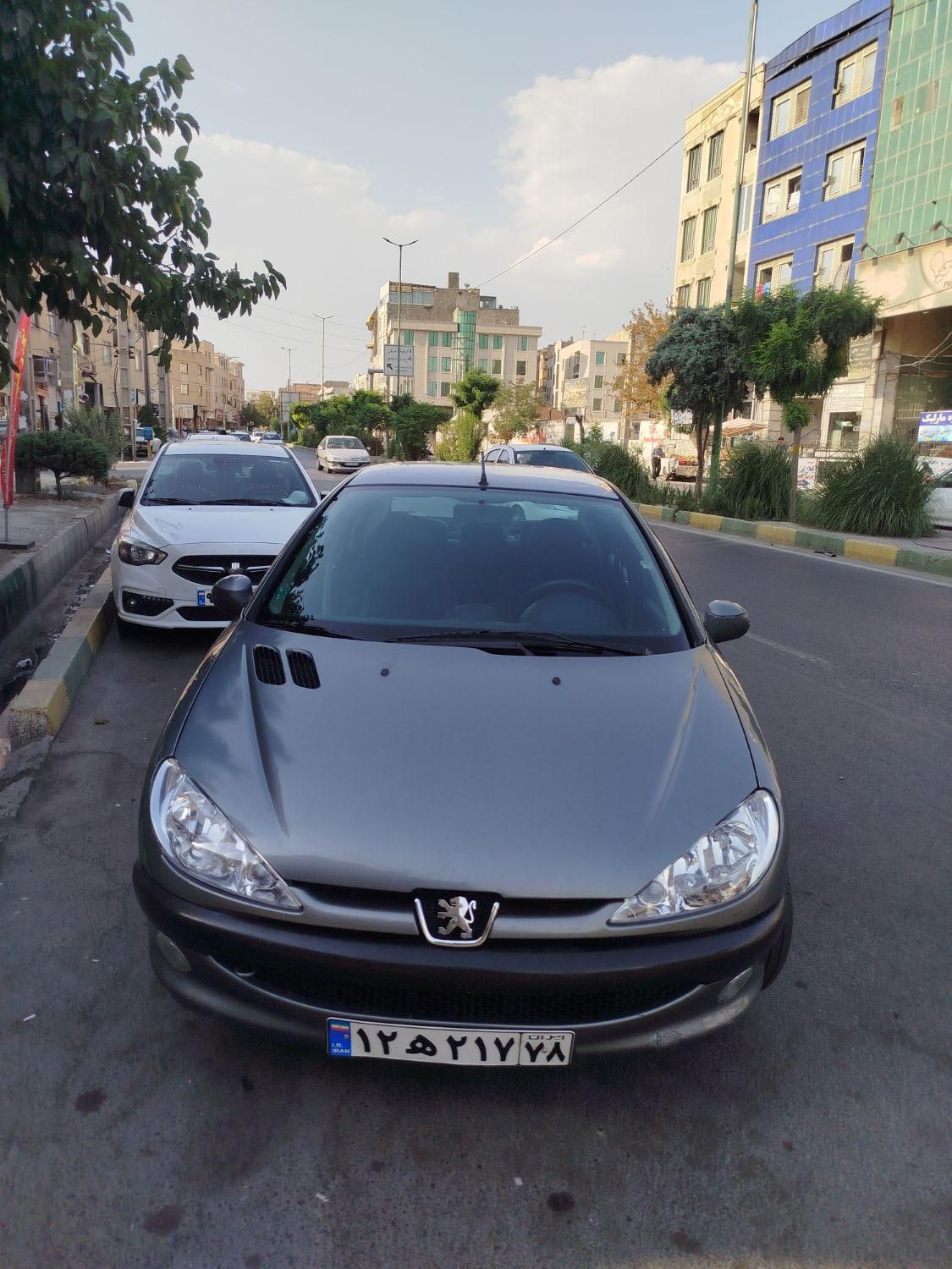 پژو ۲۰۶ صندوق دار v8 - 1393