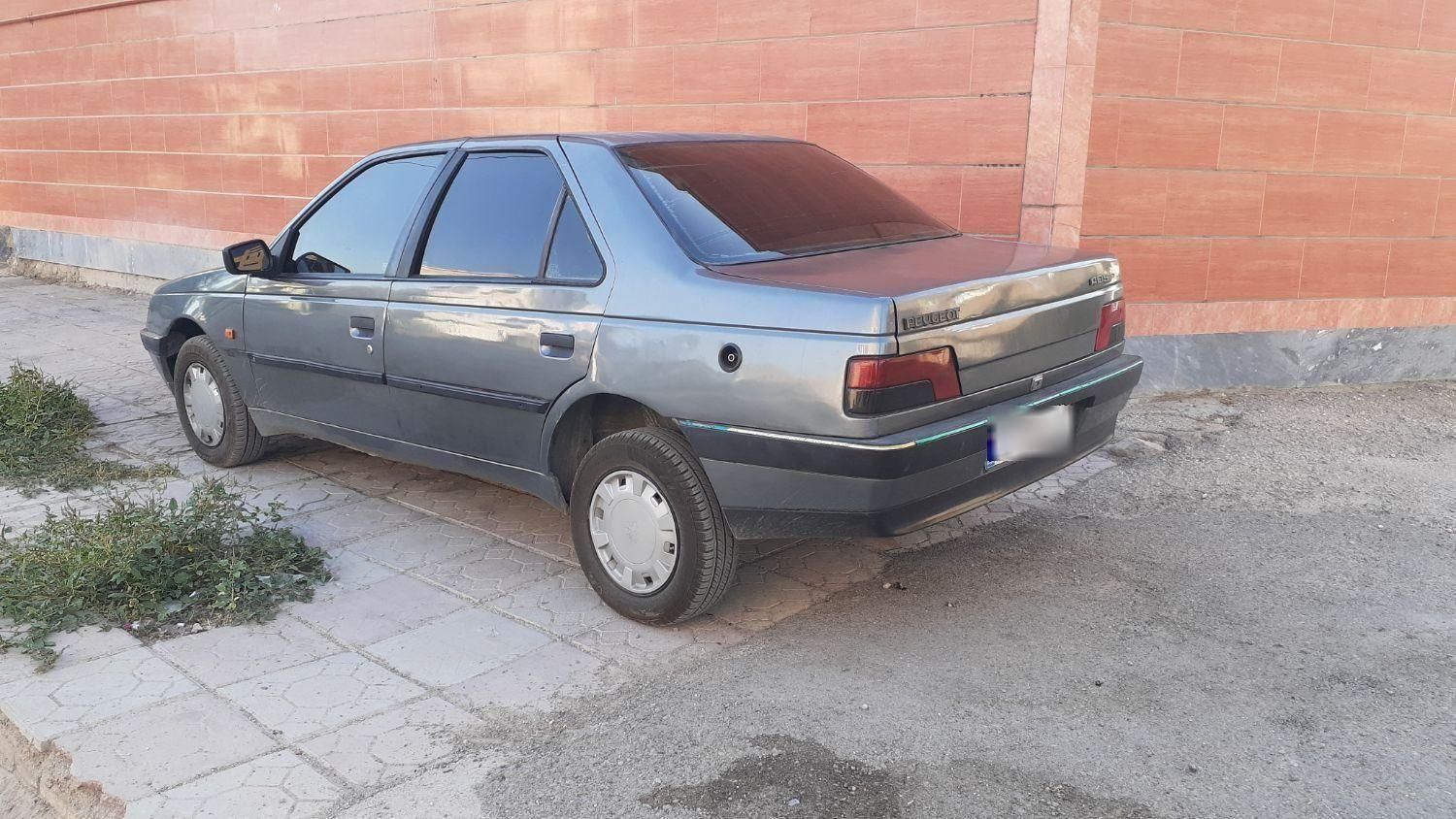 پژو 405 GLX - دوگانه سوز - 1386