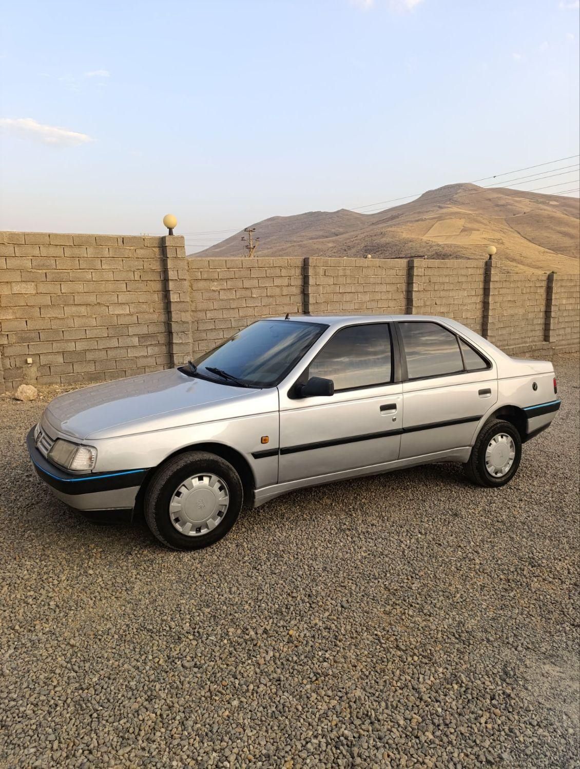 پژو 405 GL - دوگانه سوز CNG - 1369