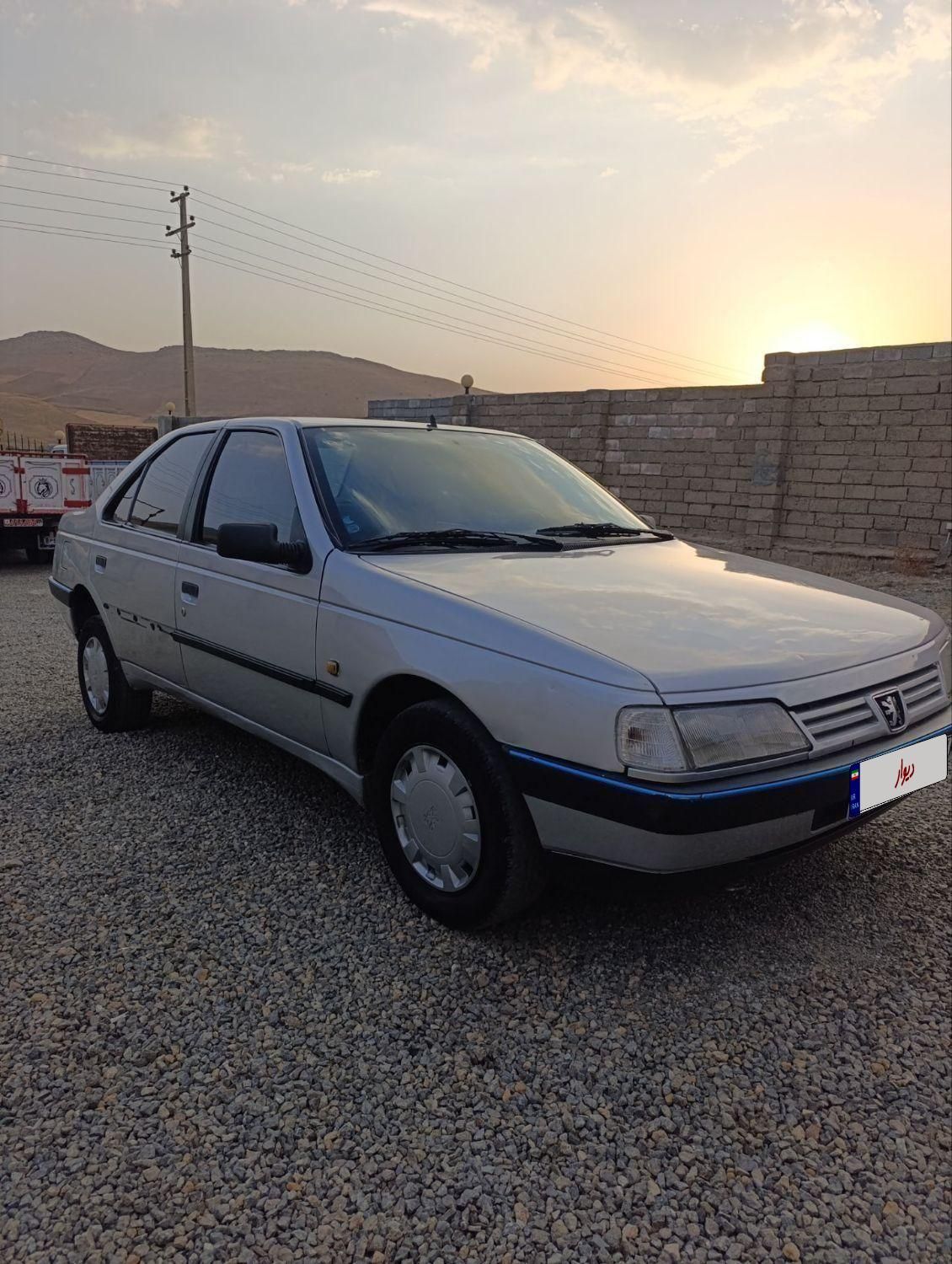 پژو 405 GL - دوگانه سوز CNG - 1369