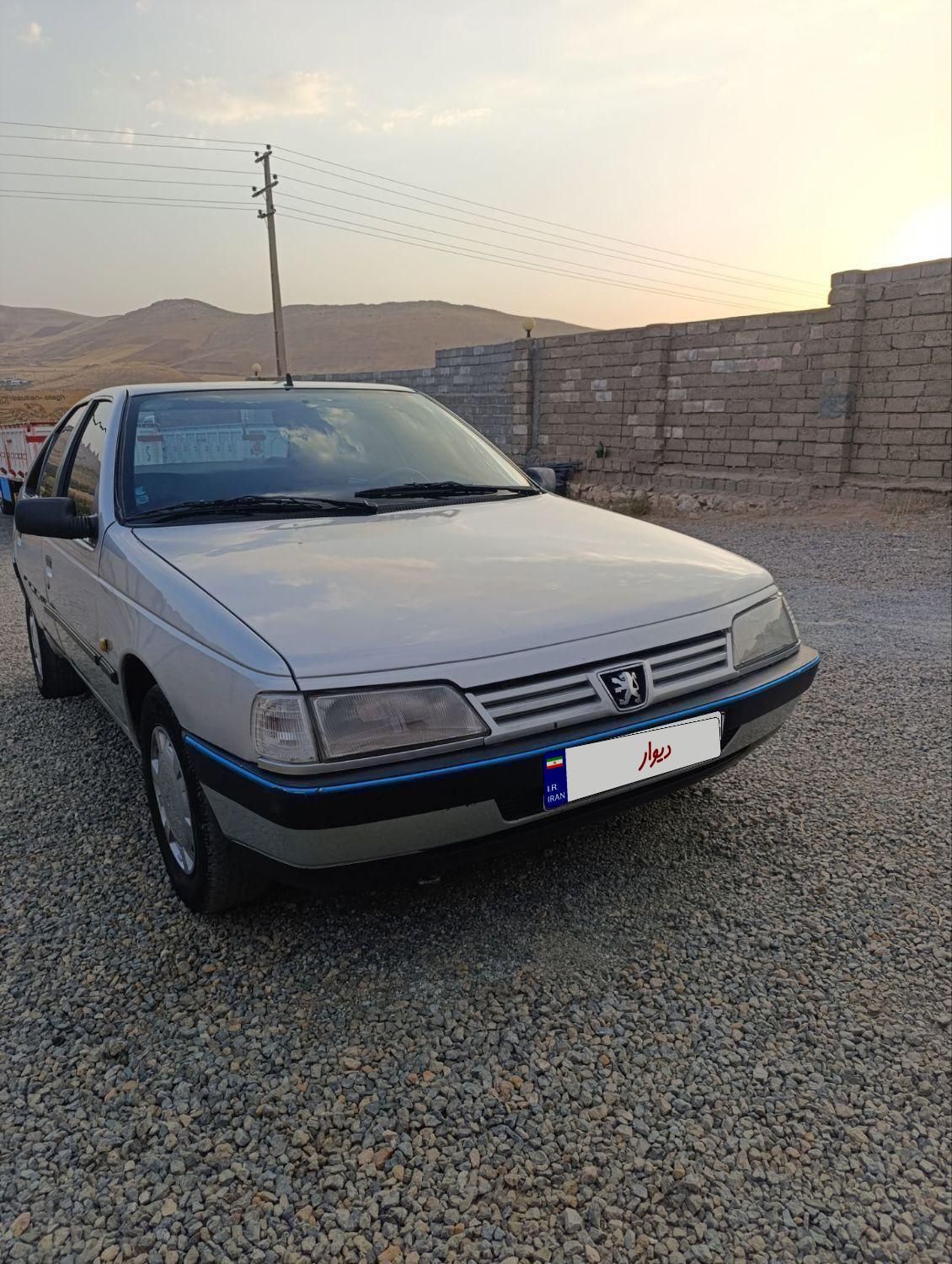 پژو 405 GL - دوگانه سوز CNG - 1369