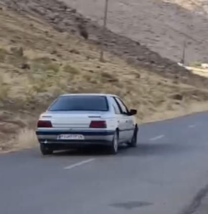 پژو 405 GLX - دوگانه سوز - 1390