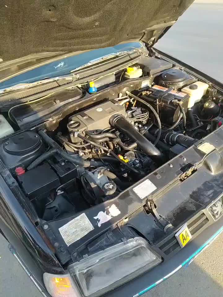 پژو 405 GLX - 1382