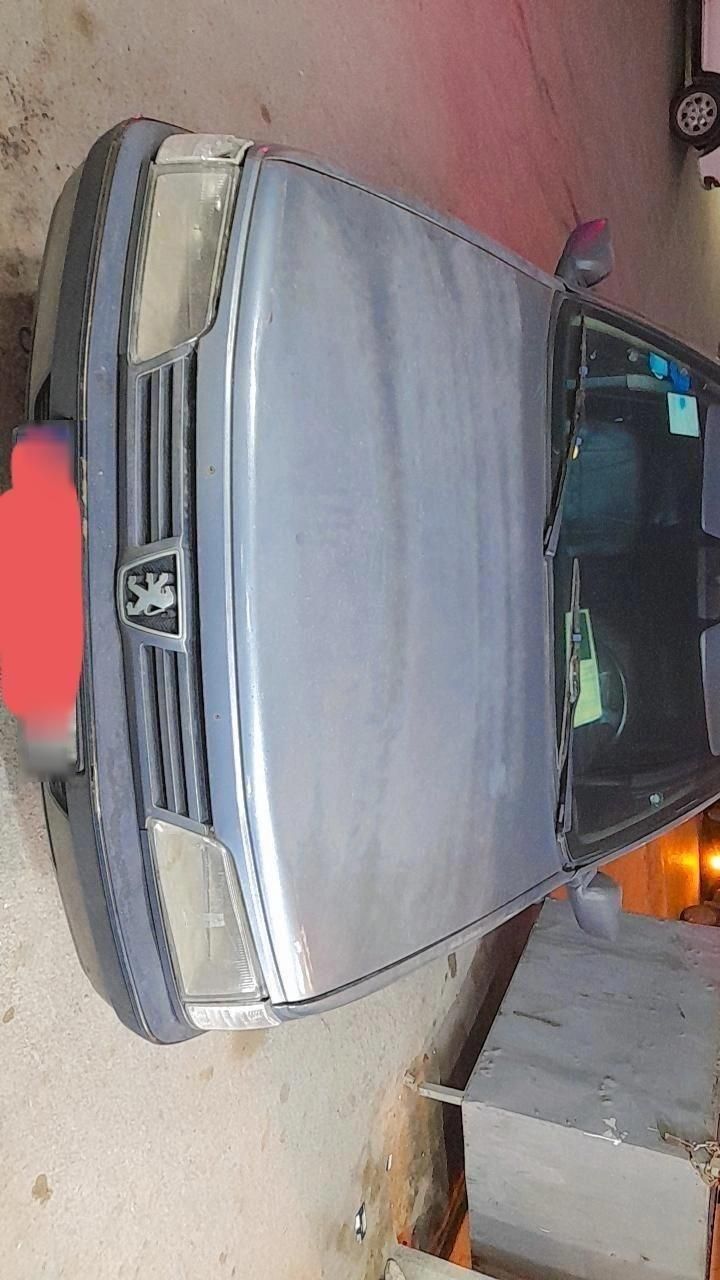 پژو 405 GLX - دوگانه سوز - 1388