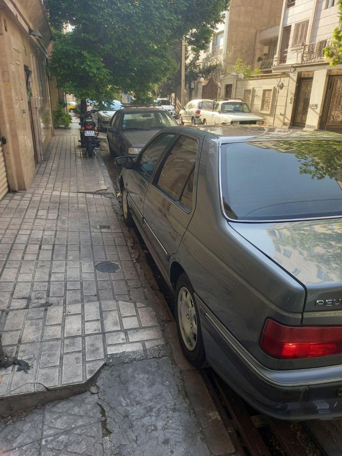 پژو پارس ELX-XU7P سفارشی - 1393