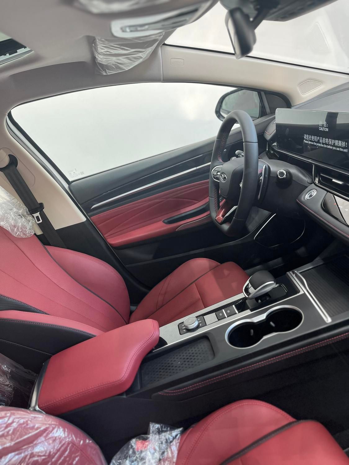 فونیکس آریزو 6 GT اکسلنت - 2024