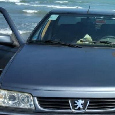 خودرو پژو، 405 SLX آگهی ann_19479974