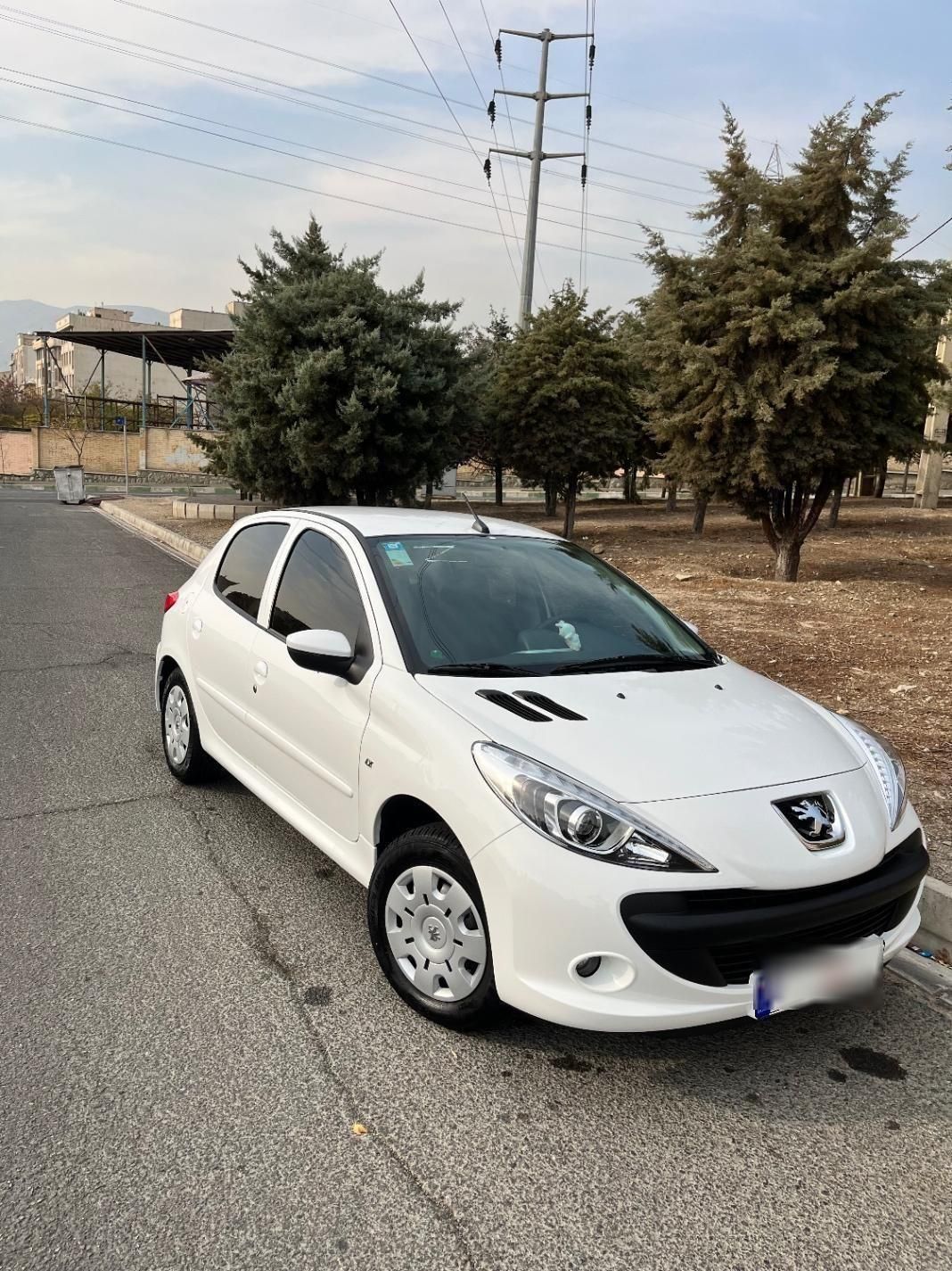 خودرو پژو، 207 آگهی ann_19480306
