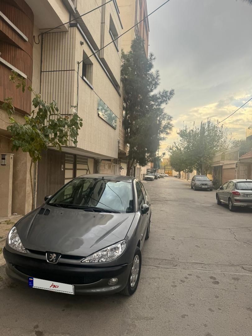 خودرو پژو، ۲۰۶ صندوق دار آگهی ann_19480872