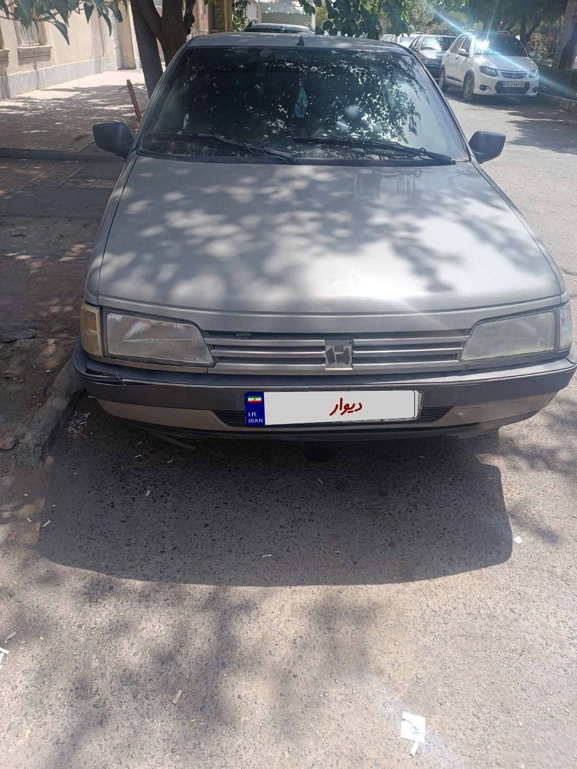 پژو آردی دوگانه سوز CNG - 1380