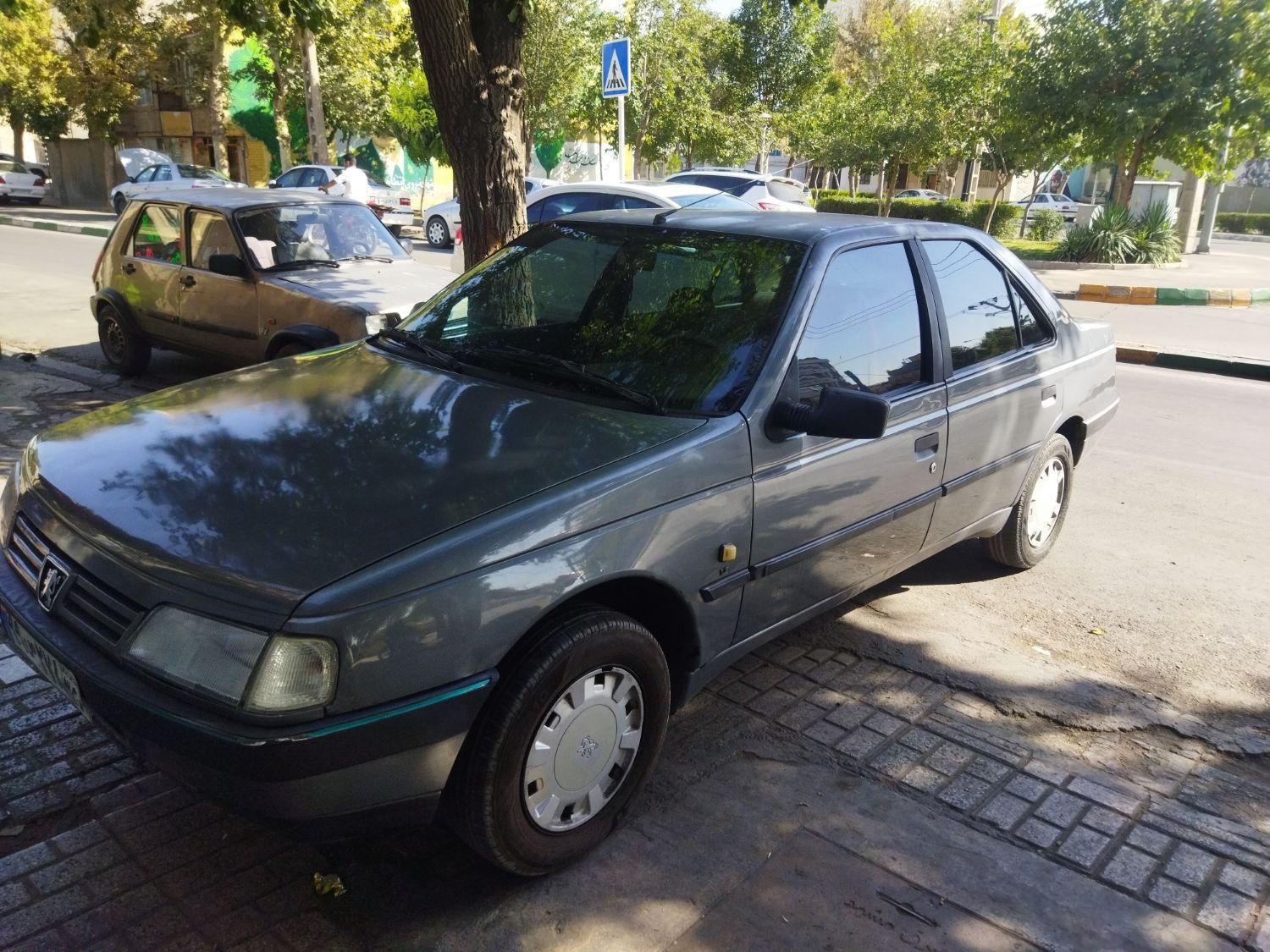 پژو 405 GLX - دوگانه سوز - 1388