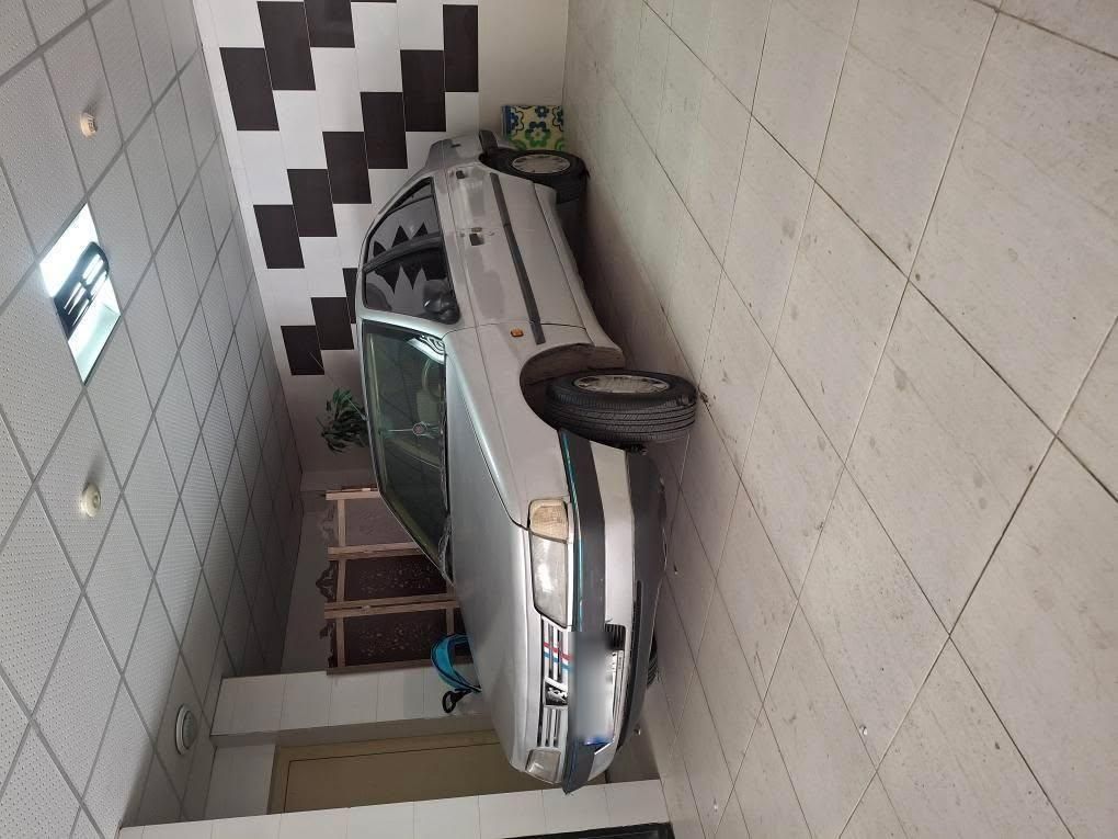 پژو 405 GL - دوگانه سوز CNG - 1369
