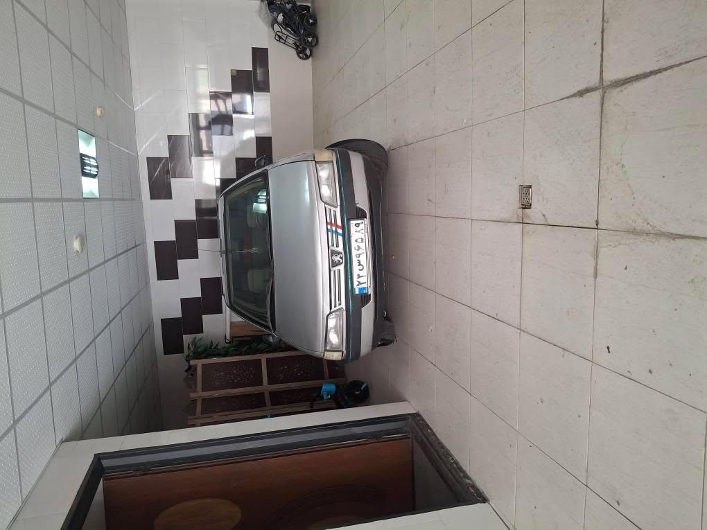 پژو 405 GL - دوگانه سوز CNG - 1369