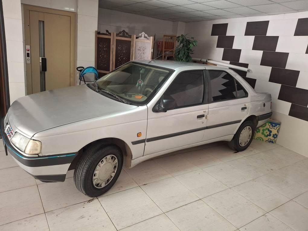 پژو 405 GL - دوگانه سوز CNG - 1369