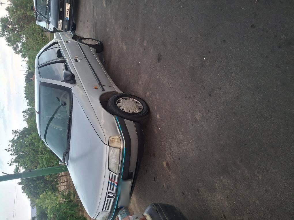 پژو 405 GL - دوگانه سوز CNG - 1369