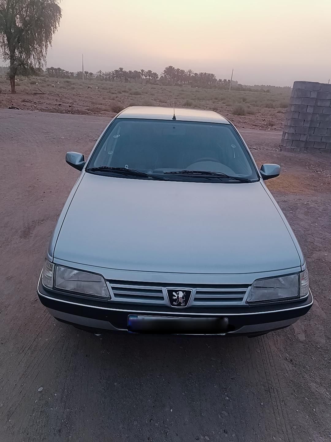 پژو 405 GLX - دوگانه سوز - 1395