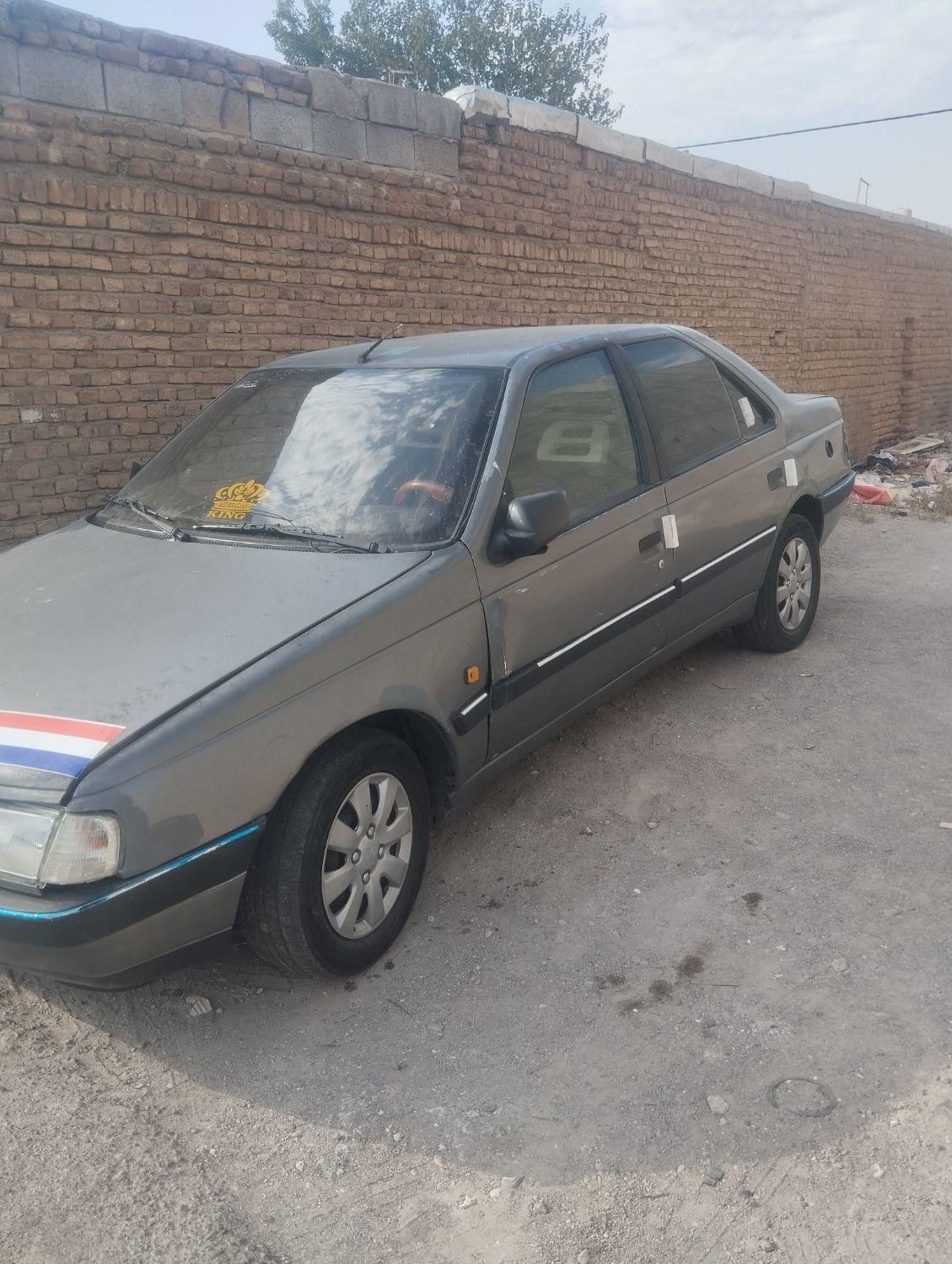 پژو 405 GLX - دوگانه سوز LPG - 1376