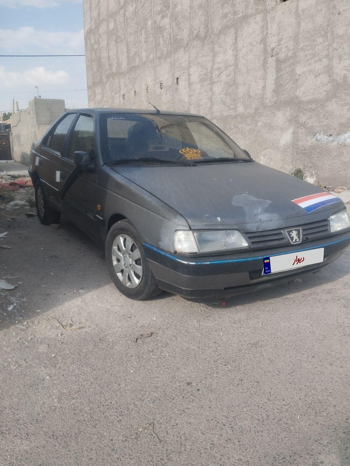 پژو 405 GLX - دوگانه سوز LPG - 1376