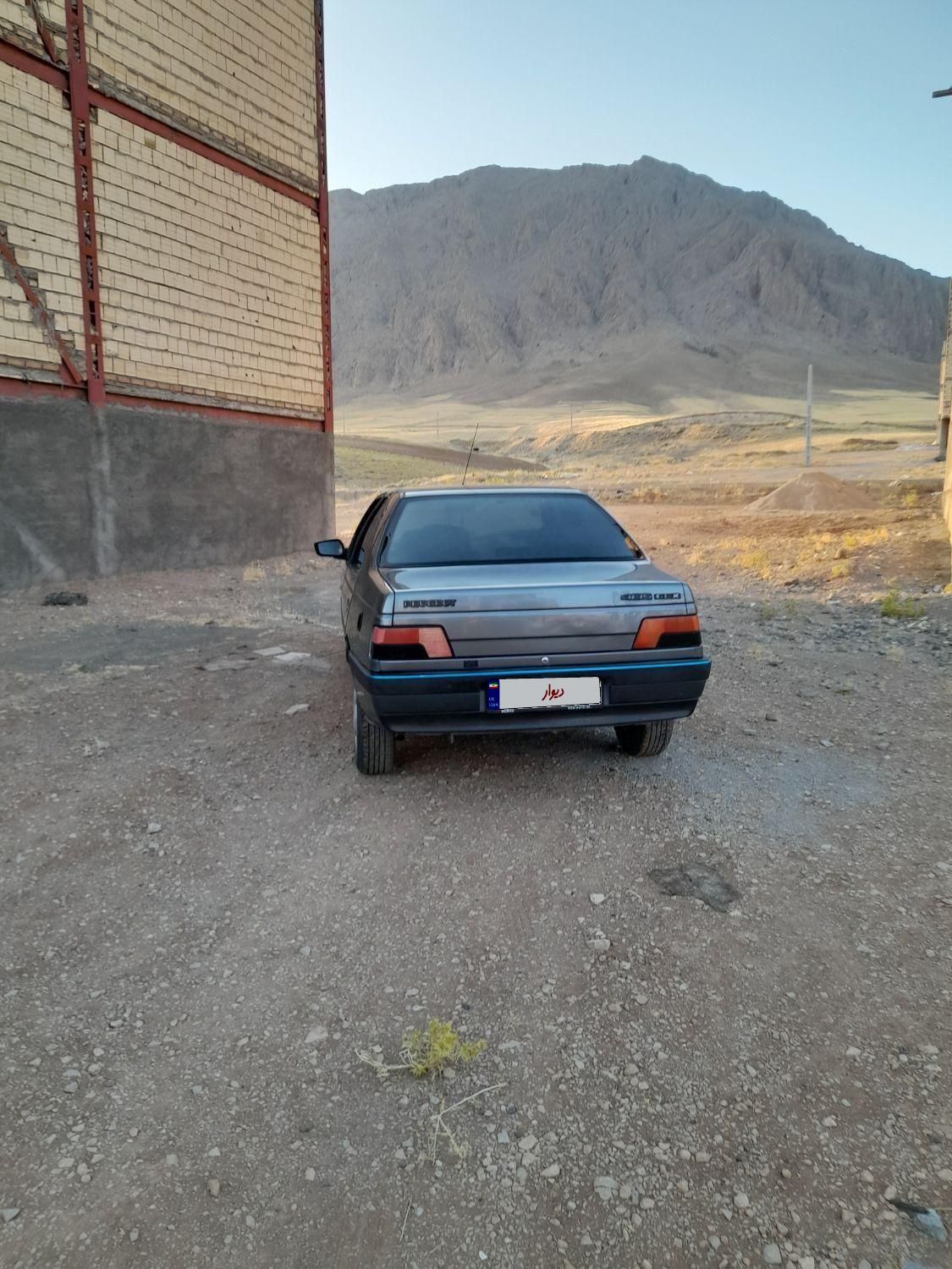 پژو 405 GLX - دوگانه سوز - 1396