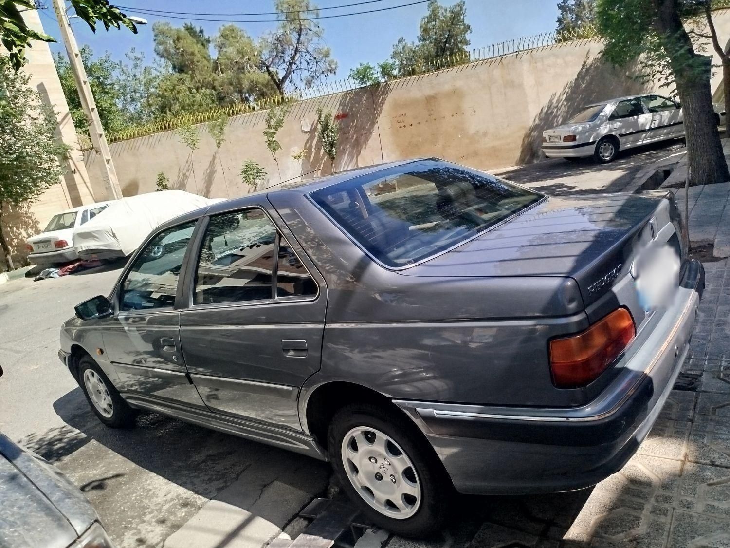 پژو پارس ELX-XU7P سفارشی - 1393