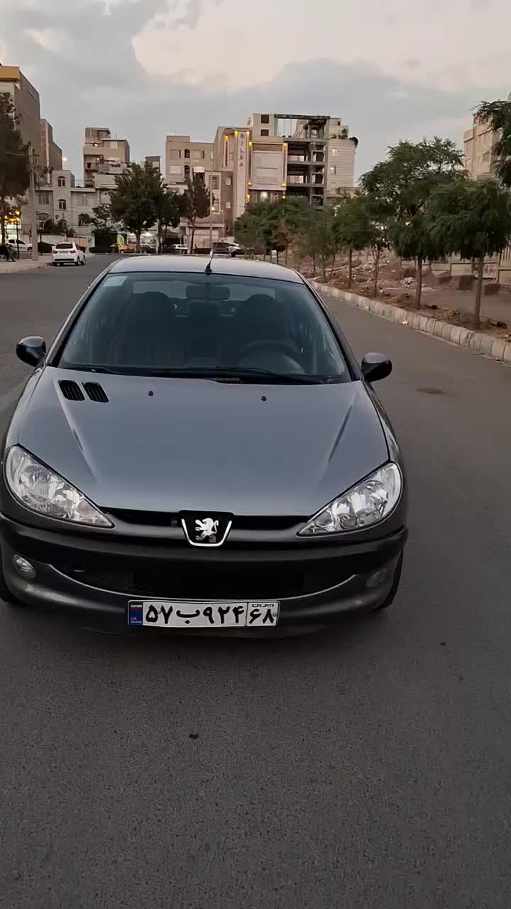 خودرو پژو، ۲۰۶ صندوق دار آگهی ann_19490861
