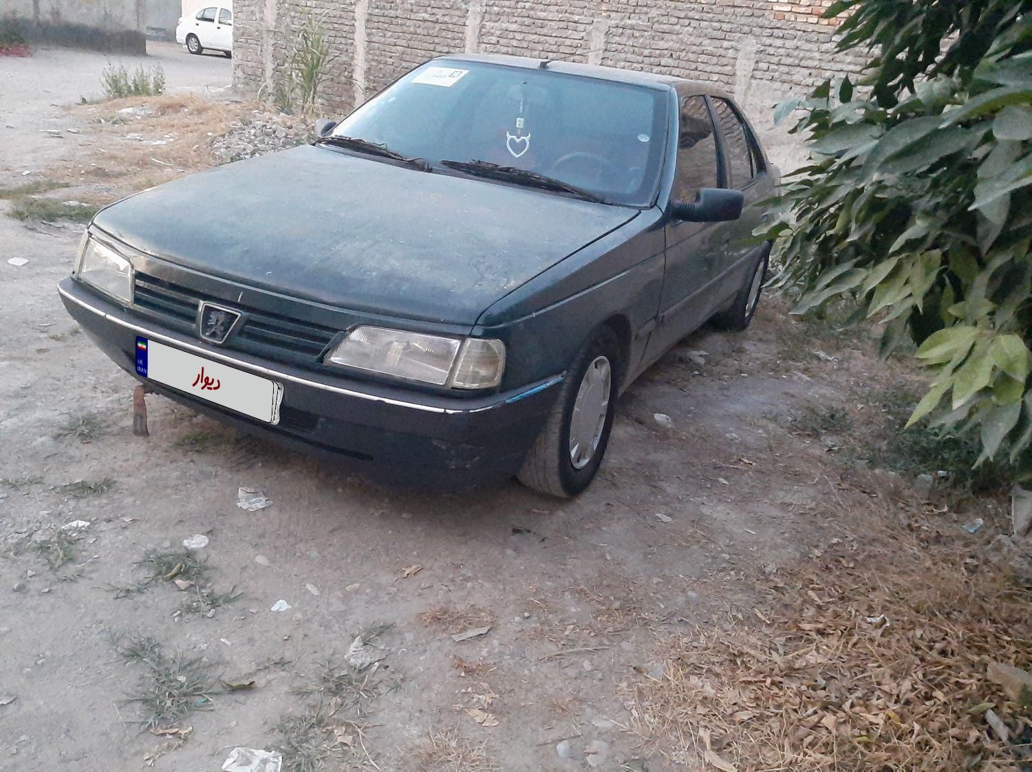 پژو آردی دوگانه سوز CNG - 1382