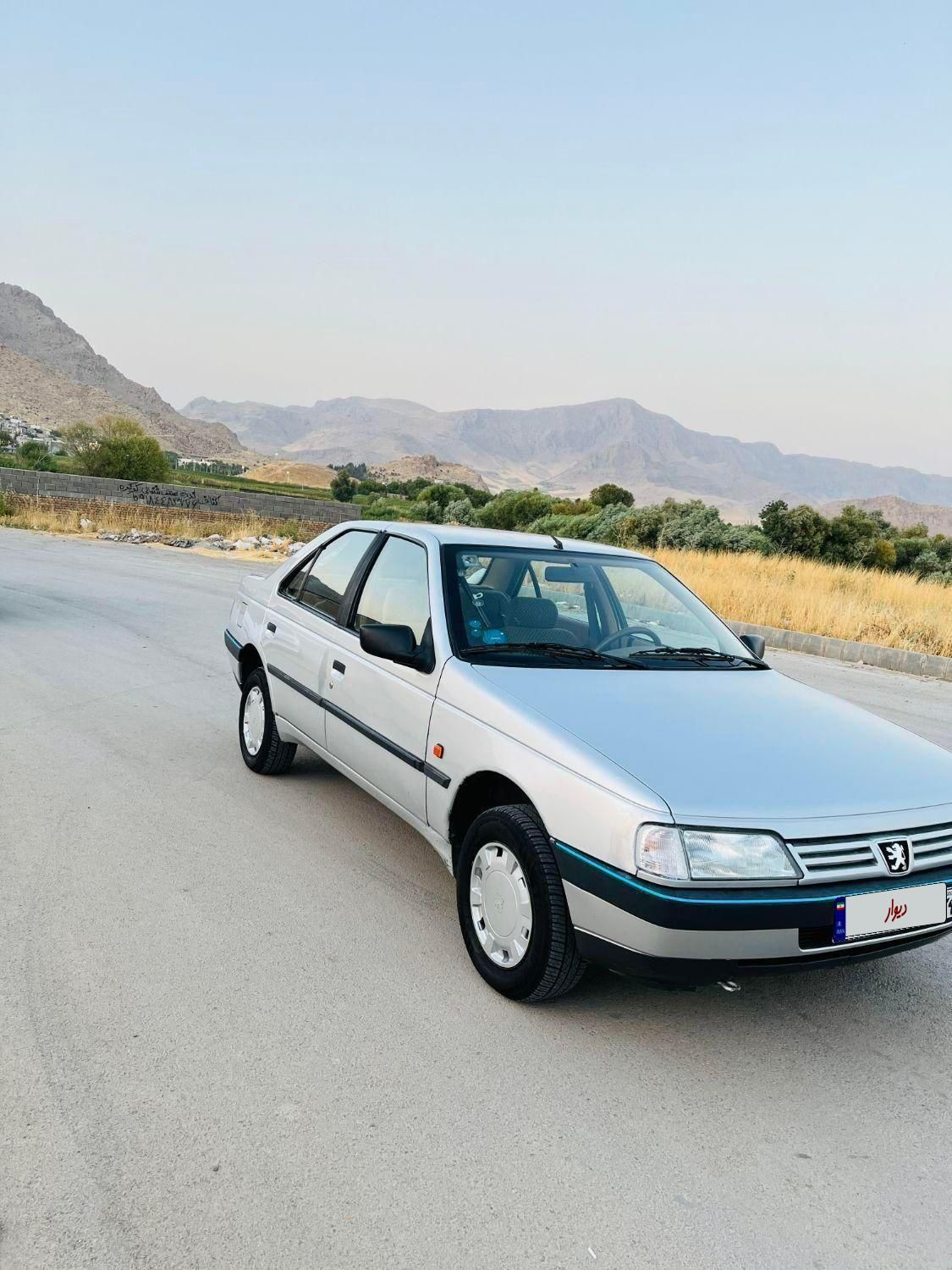 پژو 405 GLX - دوگانه سوز - 1392