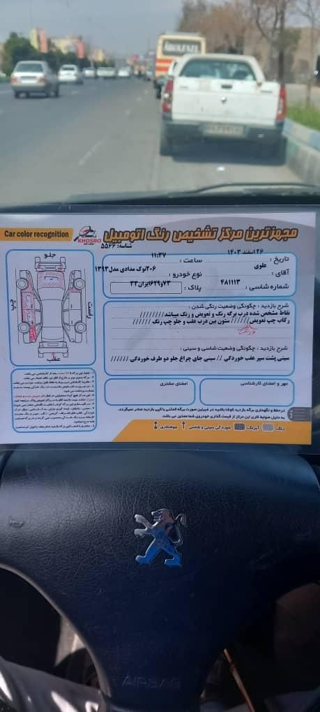 پژو 206 تیپ 5 - 1393